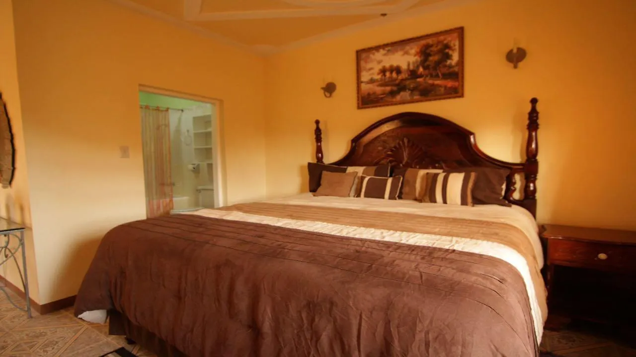 Paradise Reggae Resort Spring Garden Hotel