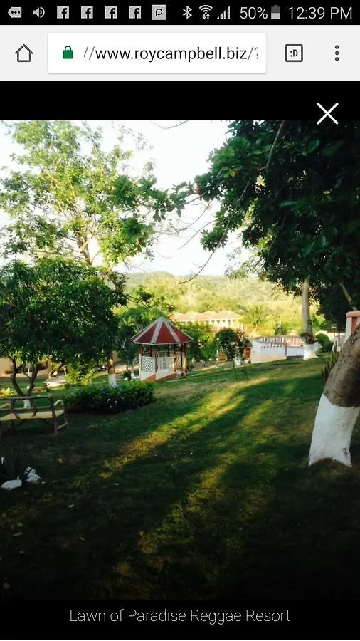 Hotel Paradise Reggae Resort Spring Garden